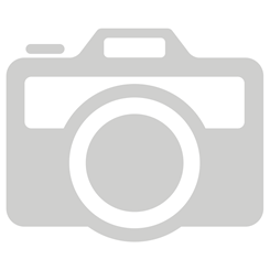 Bolsius Ivory Pillar Candles 7"x2" 600149CAND7X2-C